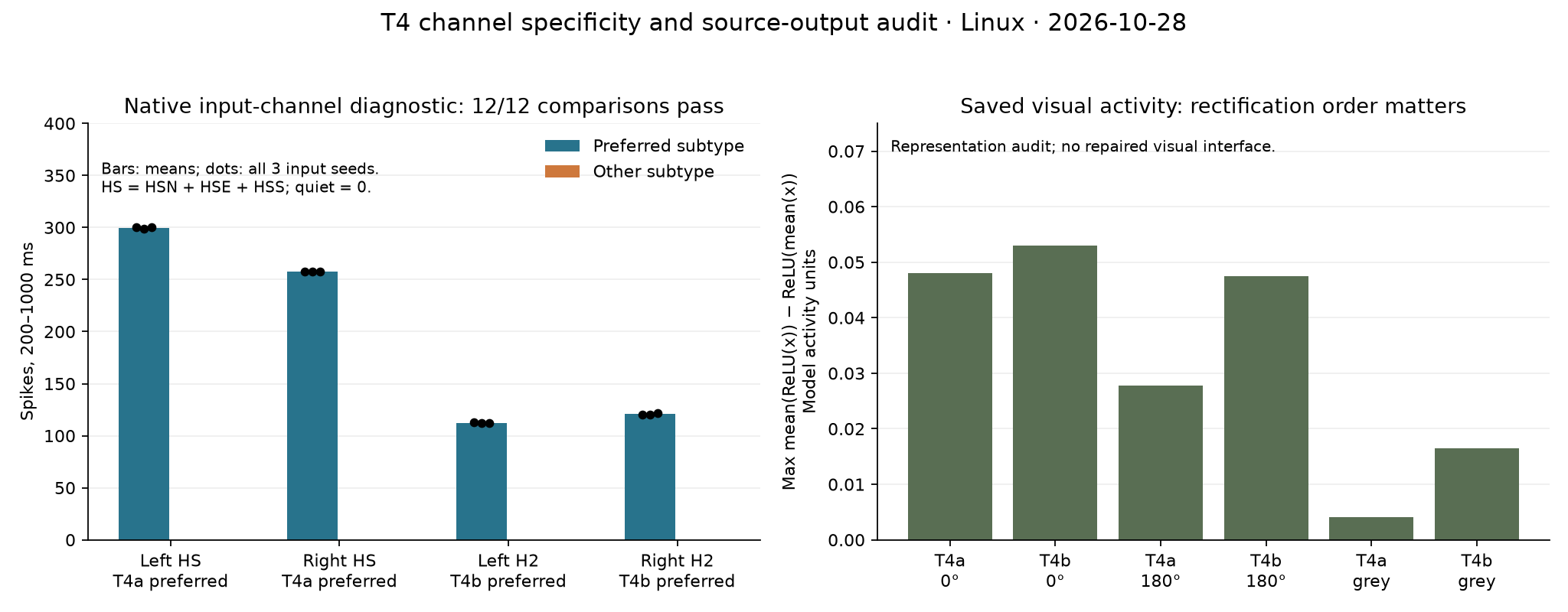 Native T4 input specificity across three seeds and the rectification-order gap in saved visual activity.